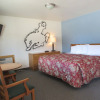 Отель Big Bear Motel, фото 12