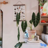 Отель Xianqingshan Homestay (Xihu Qingzhiwu), фото 3