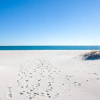 Отель Sunny Beach Retreat #11 - 2 Br Condo, фото 14