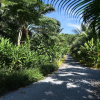Отель Baan Suan Farmstay, фото 17