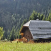 Отель Cozy Chalet in Kolbnitz-teuchl in Carinthia, фото 6