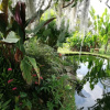 Отель Casa Laureles, фото 16