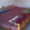 Отель Manis Home Stay Valparai, фото 5