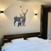 Отель Shooting Star the Bed & Breakfast, фото 4