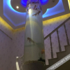 Отель Shidianzheng Theme Hostel, фото 10