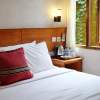 Отель Cempaka Borobudur Guest House, фото 3