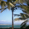 Отель Athina Beach Guest House, фото 3