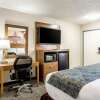 Отель Rodeway Inn East Lansing University Area, фото 4
