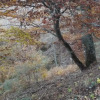 Отель La Montaña Palentina, фото 18