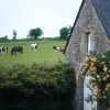 Отель Les chambres du Manoir de Kerhel, фото 20