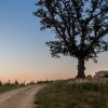 Отель Agriturismo Castello di Bucignano, фото 40