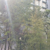 Отель Il Giglio Guest House, фото 17