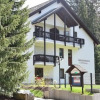 Отель Huis Hochfirst Appartement 9, фото 1