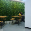 Отель Ideal Youth Hostel, фото 25