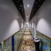 Отель Huangdi Fashion Hotel, фото 6