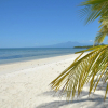 Отель White Villas Resort, фото 18