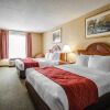 Отель Comfort Inn & Suites, фото 42