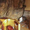 Отель Sango Wildlife Lodge, фото 13