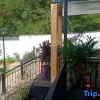 Отель Anji Lanshe Homestay (Zhongnan Baicaoyuan Yuan Anji Natural Museum Branch), фото 4