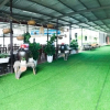 Отель Vinh Gia Airport Lakeview Hostel, фото 14