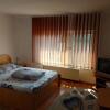 Отель Pensiunea Diana, фото 11