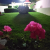 Отель Villa Aphrodite, фото 16