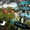 Отель Coyohouse Bed & Breakfast, фото 17