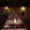 Отель Night Desert Camp, фото 6