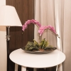 Отель Sweet Studio OneMadison 29, фото 15