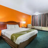 Отель Quality Inn Northeast, фото 6