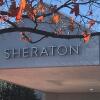 Отель Sheraton Richmond Airport Hotel, фото 3