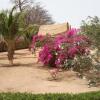 Отель Baobab Lodge, фото 21