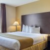 Отель Econo Lodge Inn & Suites Minot, фото 5