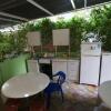 Гостиница Guest House Adenium, фото 19
