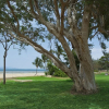 Отель Beachcomber Unit 2, фото 10