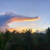 Отель Triangle Palms Siargao, фото 20