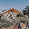 Отель Salterra Glamping, фото 21
