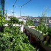 Отель Friendly Homestay - Hostel, фото 7