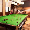 Отель Belvedere Golf & Country Club, фото 28