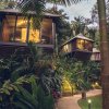 Отель Daintree Ecolodge в Дейнтри