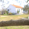 Отель Holiday house Pavica K Pasman. Island Pasman, фото 5