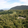 Отель Treetops Lodge & Estate, фото 11