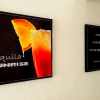 Отель Tequila Sunrise B&B - Hostel, фото 1