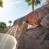 Отель Marriott's Shadow Ridge, фото 47