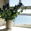 Отель Braye Beach Hotel, фото 8