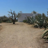 Отель Villa delle Agavi Gallipoli, фото 2