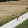 Отель Calbertone Family and Bike Holidays, фото 24