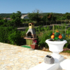 Отель Apartment Ani - 150 m from pebble beach: A1 Barbat, Island Rab, фото 16