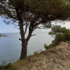 Отель Cap D Osne - Banyuls Sur Mer - 2mn Plage, фото 2