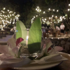 Отель Playa Espadilla y Gardens, фото 9